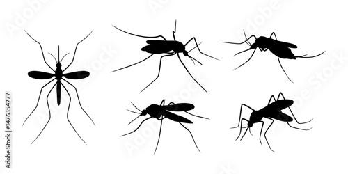 mosquito silhouette various angles