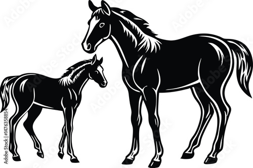 An adult silhouette black horse and a foal standing a short distance apart within the same frame