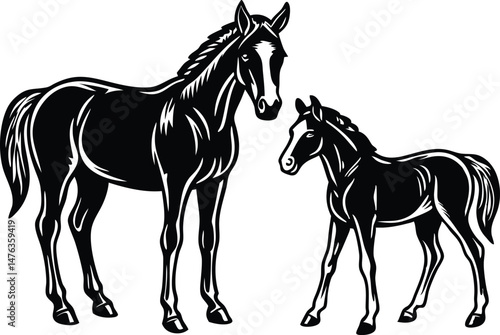 An adult silhouette black horse and a foal standing a short distance apart within the same frame
