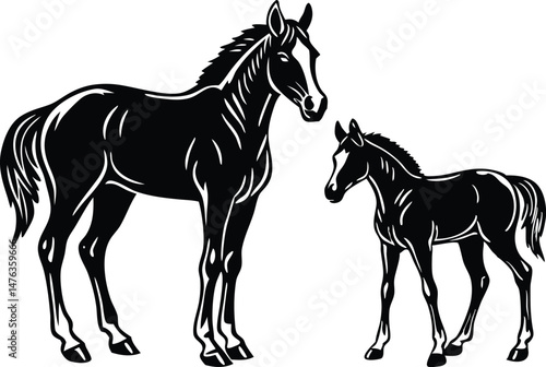 An adult silhouette black horse and a foal standing a short distance apart within the same frame