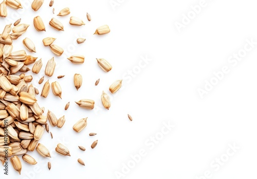 Scattered sunflower seeds on white background.  Small, light brown seeds are dispersed in a loose cluster, creating a textural design against a stark white backdrop