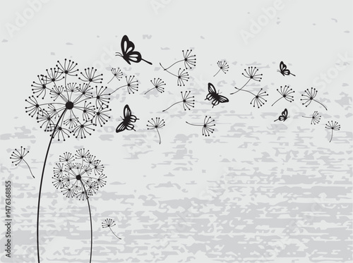 Vector illustration dandelion seed blowing in the wind. Vector illustration