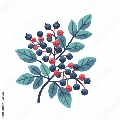 serviceberry, branch, nature, saskatoon, shadbush, natural, leaf, flora, green, plant, food, botany, foliage, tree, season, fresh, fruit, juneberry, spring, bush, beautiful, shrub, outdoors, summer, c