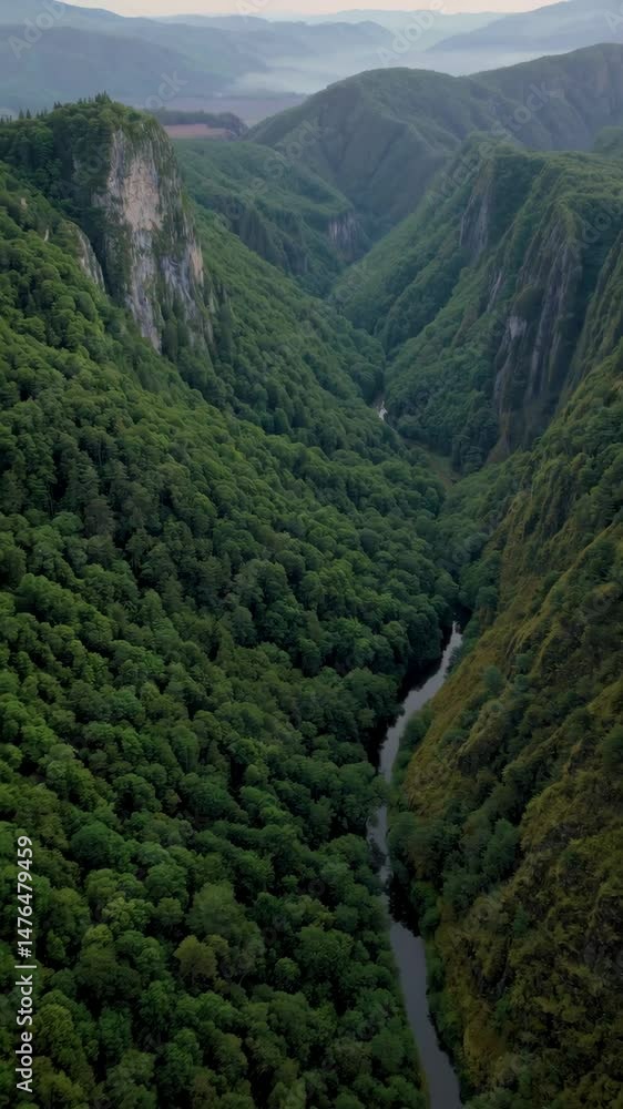 Majestic aerial journey over lush green canyon and serene river valley in high resolution Majestic aerial journey over lush green canyon and serene river valley in high resolution