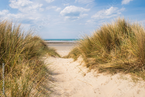 View from the footpath in the dunes on the coast in Normandy, France