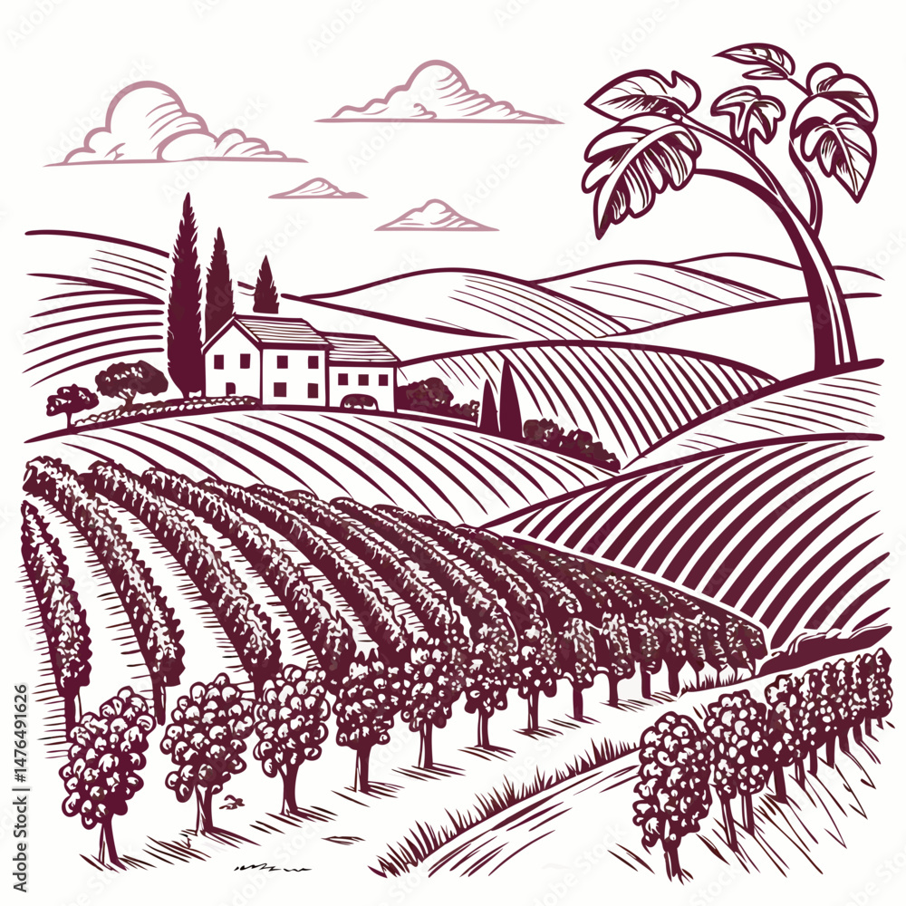 Fototapeta premium Create a bold vector illustration of a sun-drenched vineyard scene with rolling hills, grapevines, and a rustic farmhouse. Include thick outlines for a striking effect.