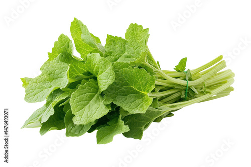 Fresh turnip greens bundle