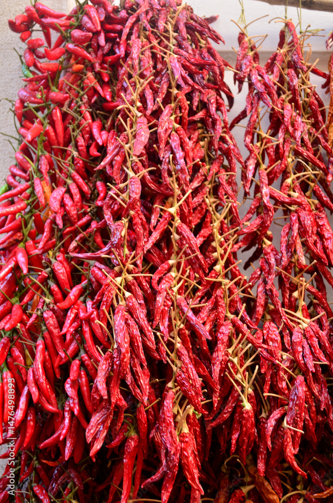 Fototapeta premium Red Hot Chilli Peppers Hanging and Drying in the Sun