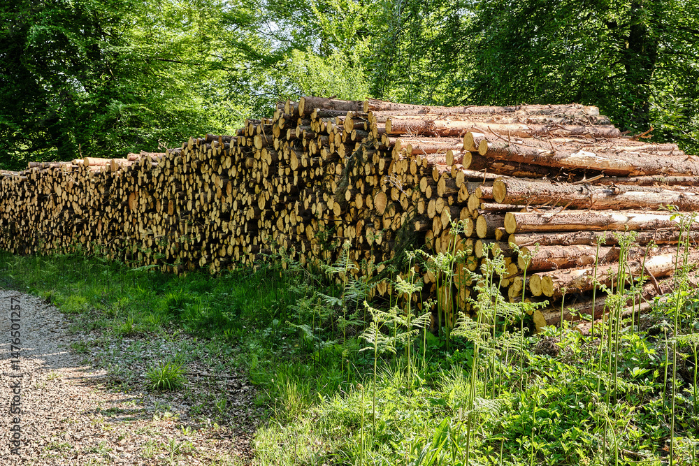 Woodpile Woodpile