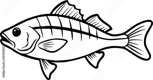 bass fish outline vector illustration line art