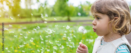 Tableau sur toile Child blowing dandelion in park. Selective focus.