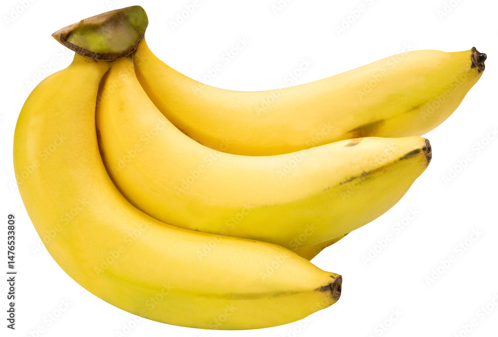 Banana is a popular tropical fruit with smooth yellow skin and soft, creamy flesh isolate on white background PNG File. Banana is a popular tropical fruit with smooth yellow skin and soft, creamy flesh isolate on white background PNG File.