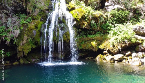 waterfall in the forest