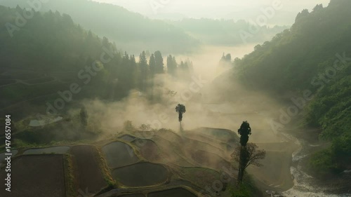 雲海に朝陽が差し込む春の神秘的な里山の風景は新潟県長岡市の山古志