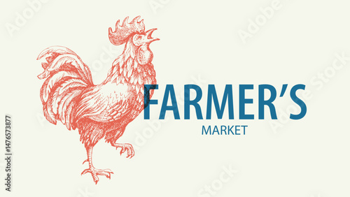 Hand drawn farm vector illustration of sketch rooster. Vintage retro banner. Menu design