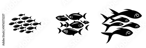 The silhouette of a small shoal of fish is visible as they swim and school together, exemplifying the behaviors of deep-sea marine animals, like those in aquariums, including tuna and cod