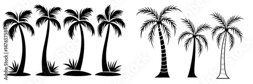 The modern illustration of a palm is done in a hand drawn doodle style using ink