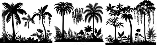 Silhouettes of tropical jungle forest liana vine branches are ideal for frames and borders, featuring a seamless modern design, along with ivy creeper plant vines and jungle bindweed tree leaves