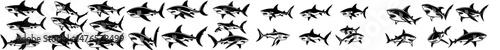 A collection of black ink drawings featuring sharks, alongside a large white tiger and coral, showcasing a top predator in the deep sea as a finned stalker monster in modern art on a blank backdrop