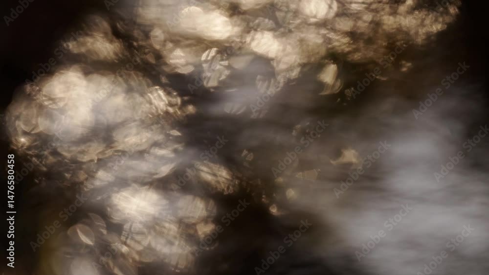 arrière plan avec billes de bokeh glissant sur l'eau, derrière des végétaux;, avec un petit voile