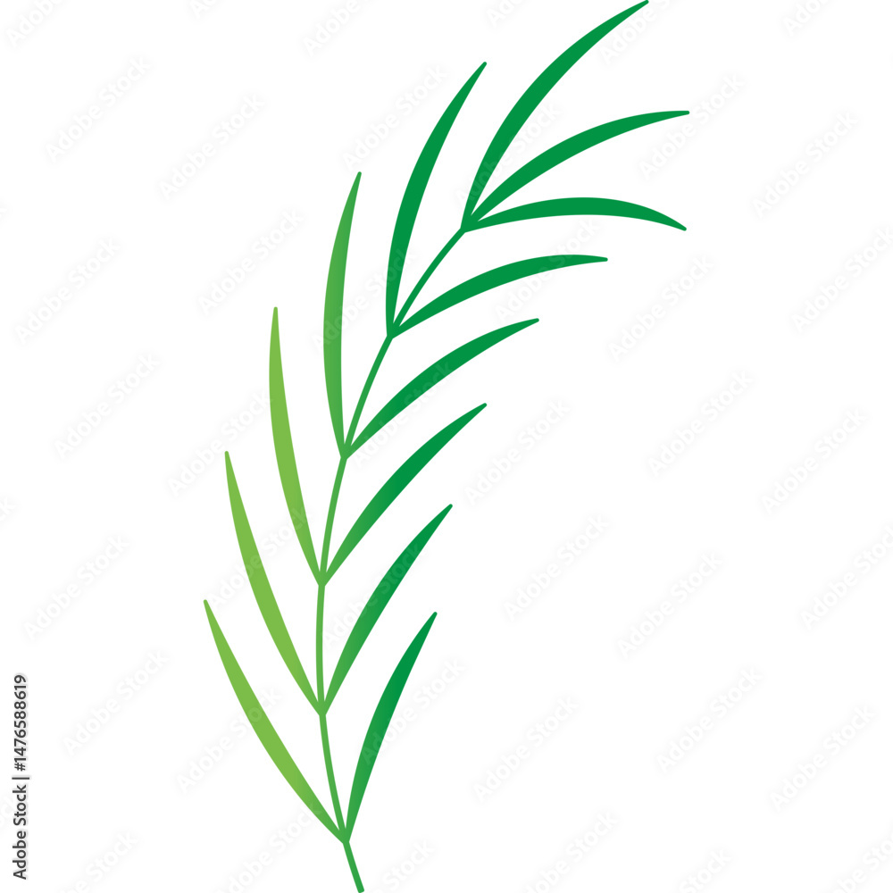 Obraz premium Palm Leaf Decoration