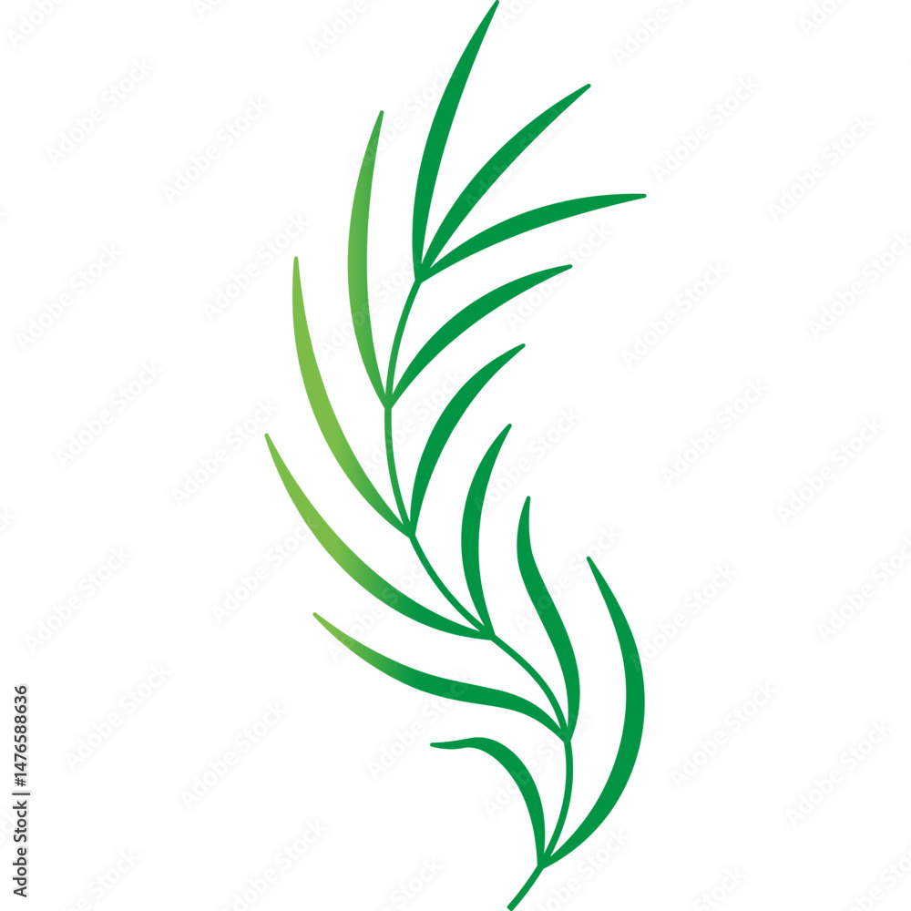 Fototapeta premium Palm Leaf Decoration
