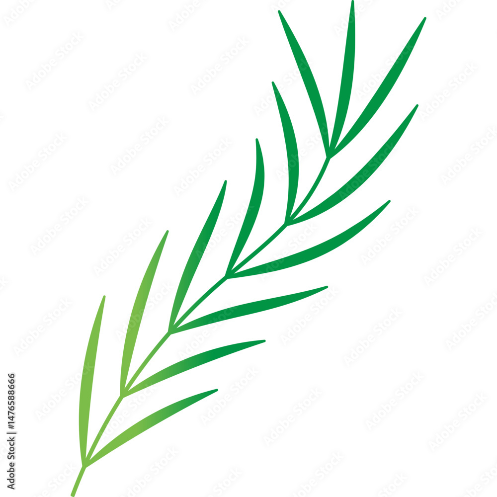 Fototapeta premium Palm Leaf Decoration