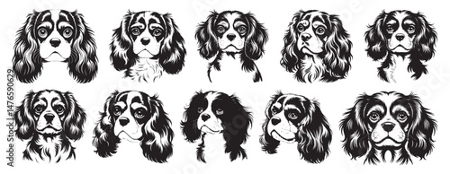 Vintage Cavalier King Charles Spaniel Dog Head Illustrations Set – Black and White Hand Drawn Pet Portraits