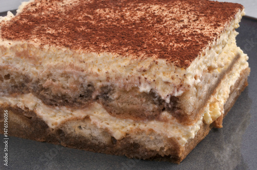 Wallpaper Mural Tiramisu fait maison en gros plan dans une assiette Torontodigital.ca