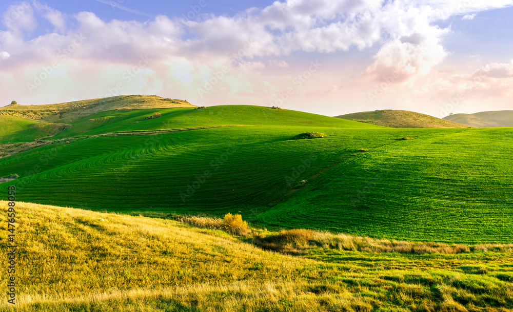 Fototapeta premium countryside green field during sunrise of sunset in warm light. beautiful spring landscape in the mountains. grassy field and hills. rural scenery