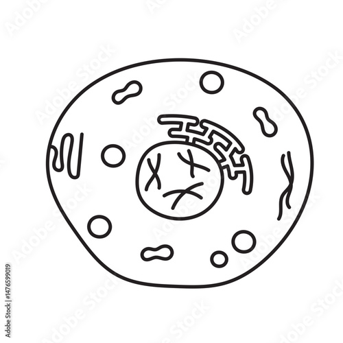 eucaryotic