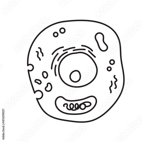 eucaryotic