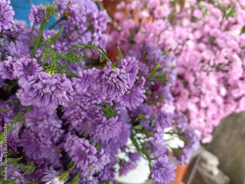 Fototapeta premium purple lilac flowers