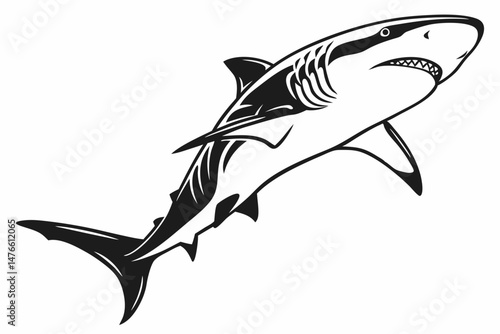 tiger shark sihouette black vector