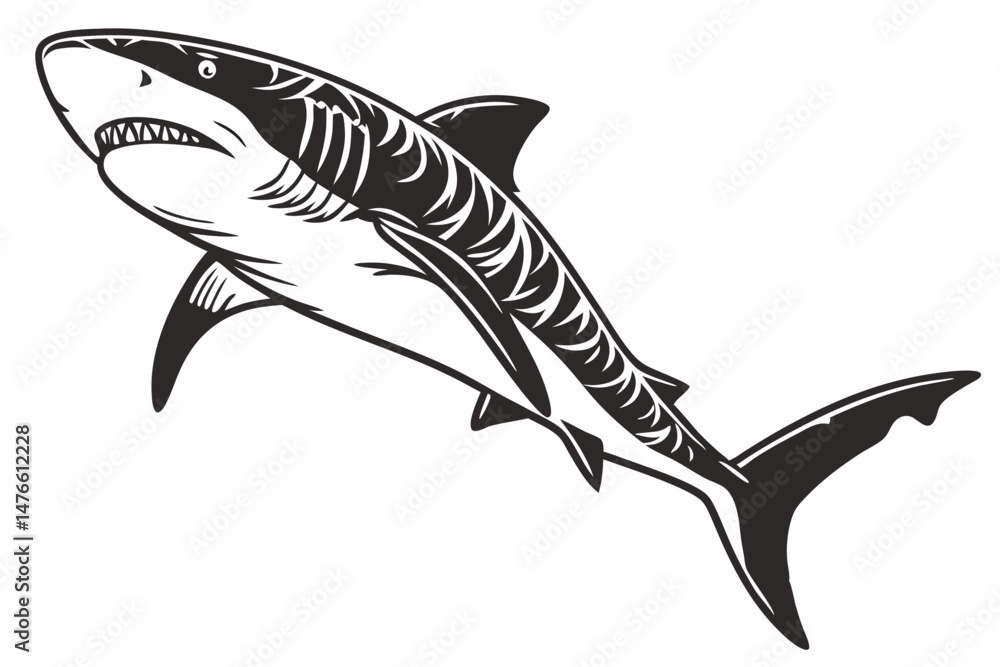 Obraz premium tiger shark sihouette black vector
