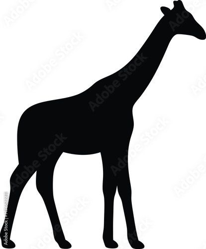 giraffe silhouette vector, giraffe animal icon vector art illustration