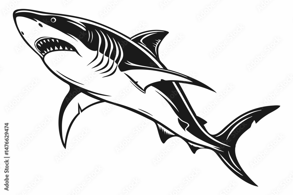 Fototapeta premium great white shark silhoette black vector