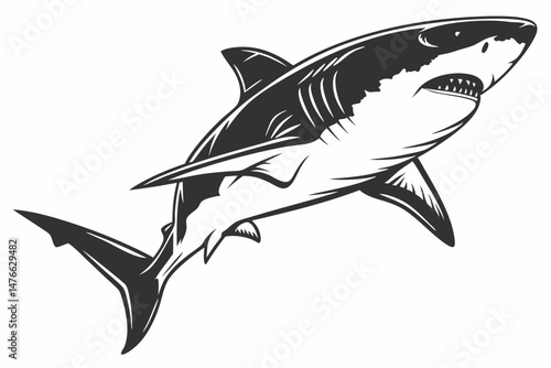 great white shark silhoette black vector
