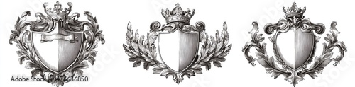 Ornate Shields with Crowns and Flourishes