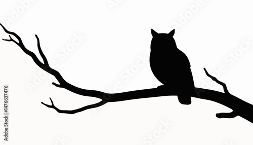 Silhouette of an owl perched on a branch, nocturnal symbolism