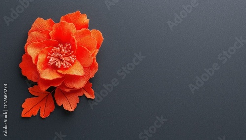 Orange flower on dark background