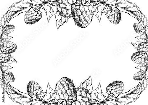 Raspberry leaves, ripe garden berries. Dewberry cloudberry mulberry loganberry tayberry boysenberry hand drawn in vector ink. Isolated border frame illustration. Wedding stationery, florist shop cards