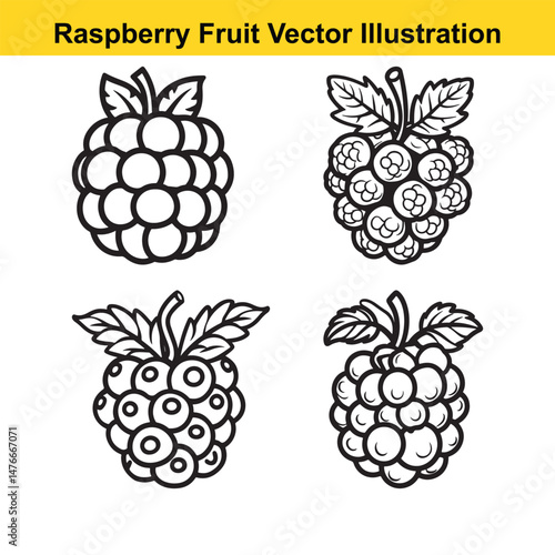Black and White Line Drawing of Raspberry Fruit with Leaves – Vector Outline Illustration