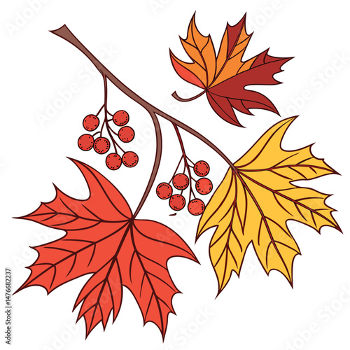 Autumn leaves Illustration