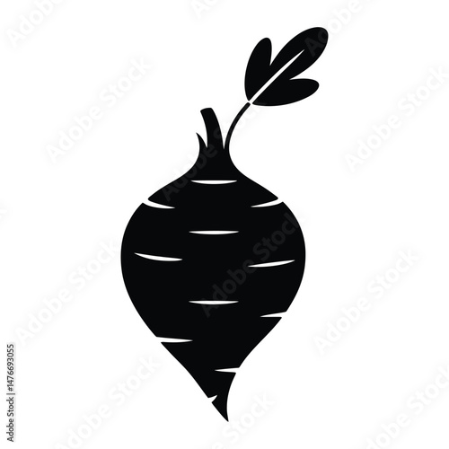 Arrowhead Tuber Silhouette, Vector, Illustration, Icon, Logo, White Background.