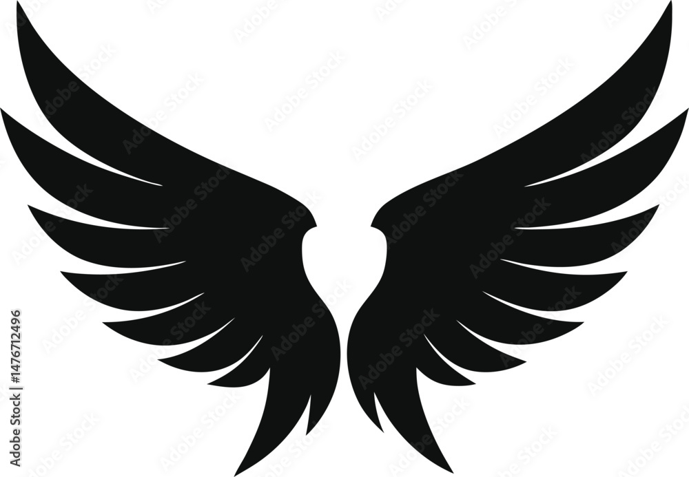 Obraz premium angel wings silhouette