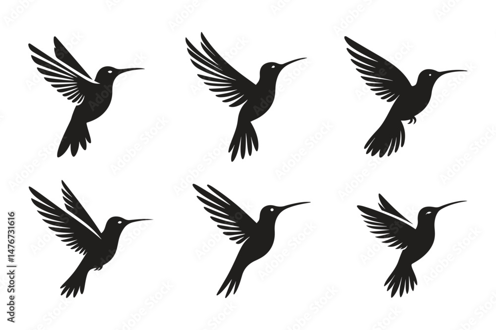 Fototapeta premium set of Hummingbird silhouette