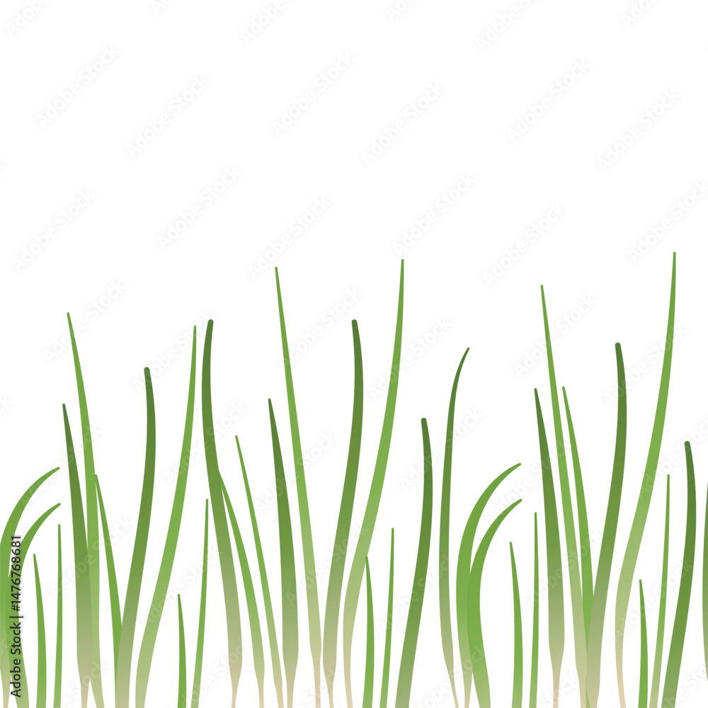 Row of green grass blades at the bottom of the image. Isolated on white background. Background for design, spring theme. Row of green grass blades at the bottom of the image. Isolated on white background. Background for design, spring theme.
