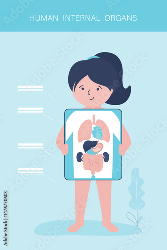 Little girl holds placard marked internal organs. Human body anatomy. Educational infographic for kids. Different organs and systems. Liver, kidneys, lungs and others.