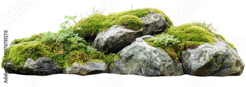 Collection of rocks layered with moss and small plants